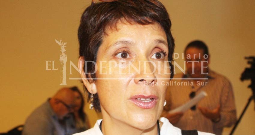 Presentan propuesta de humedales artificiales para limpiar de aguas residuales el Estero