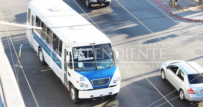 Implementar transporte accesible es facultad del gobierno BCS: Milena Quiroga