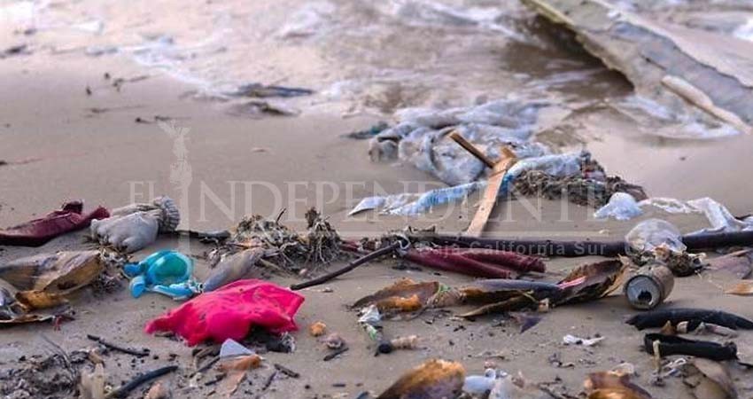 Hasta 2.5 toneladas de basura se sacan en un fin de semana de las playas de La Paz