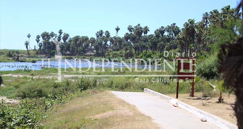 Desde la Cámara de Diputados trabajaremos para que se cumpla con la normatividad del estero: Rigo Mares