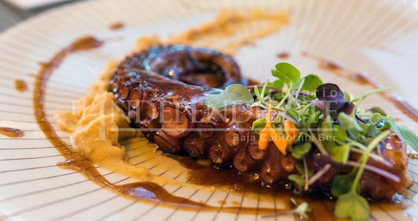 “Sabor a Mar”, una experiencia gastronómica a favor de Espíritu Santo