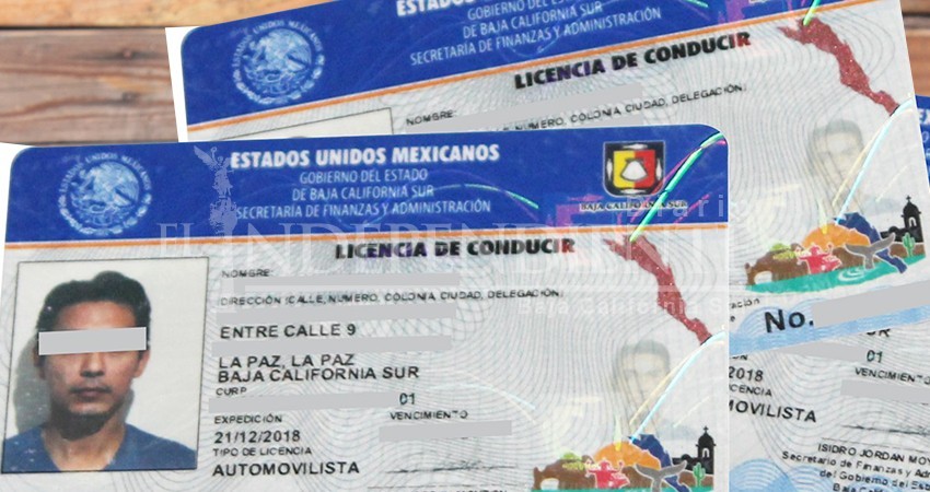 Activistas solicitan aplicación de licencias por puntos en BCS