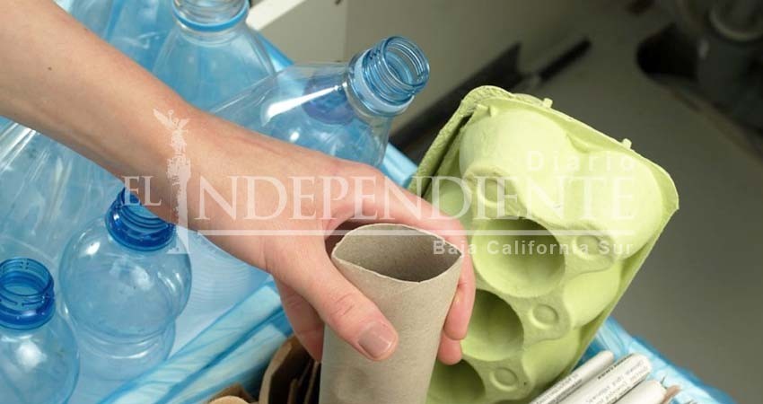 A nivel nacional escuelas cabeñas logran primeros lugares en recolección de materiales reciclables