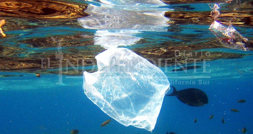 Desplastificación está en manos del Gobierno de BCS: Alcalde La Paz