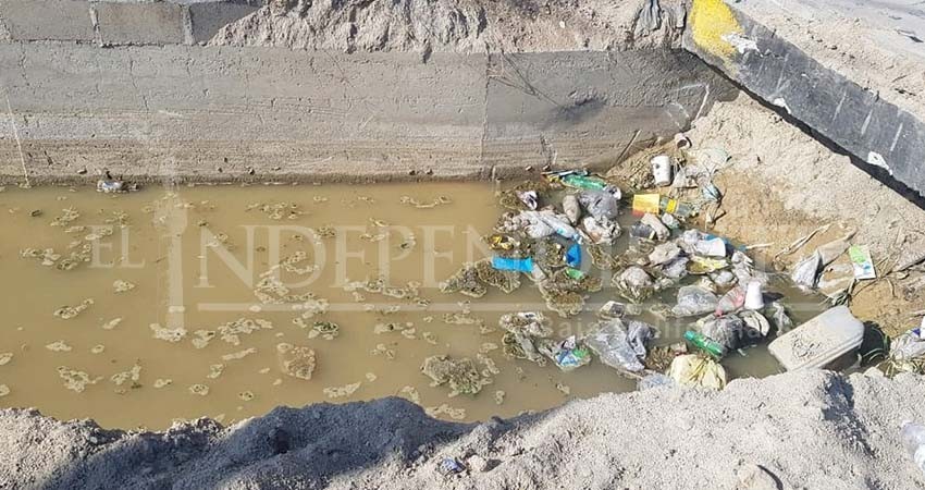 Que limpien el foco de infección, solicitan a través de denuncia ciudadana