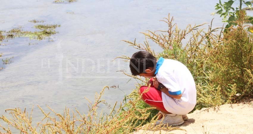 Cabildo de Los Cabos da largas al rescate del polígono del Estero
