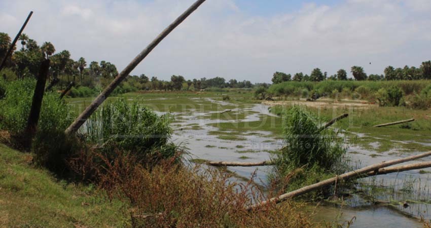 El Estero sí está contaminado por derrames de aguas negras, confirma Coepris BCS