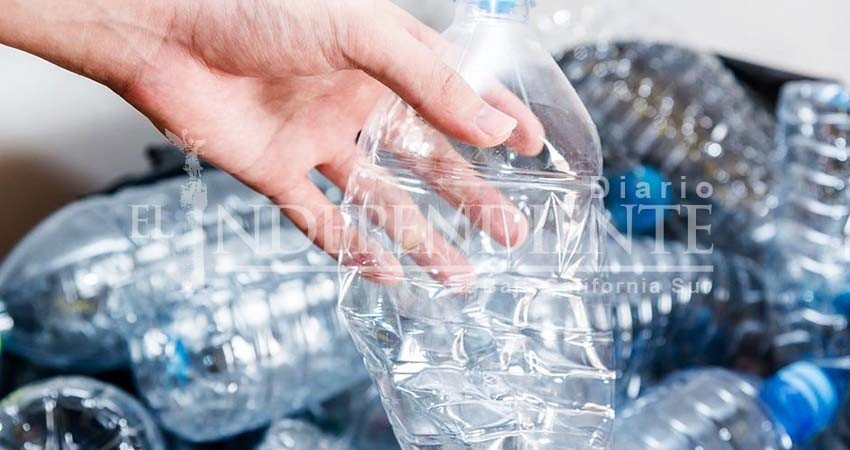Norma que prohíbe los plásticos en BCS estará lista para agosto