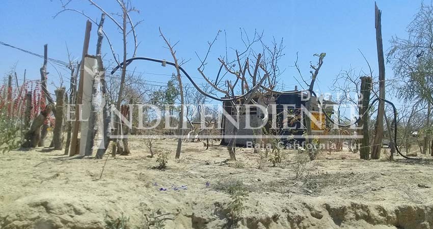 Necesario conocer delimitación de zonas de riesgo en BCS: Milena Quiroga