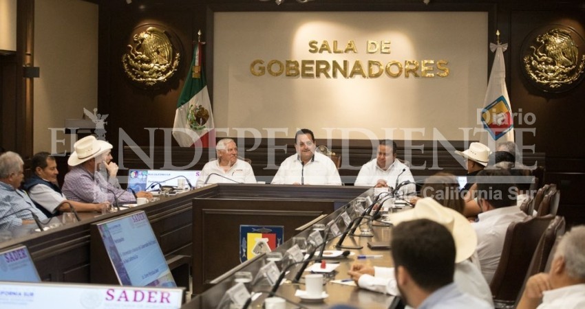 “No sé cuál va a ser la resolución de la Corte”: dice Mendoza Davis sobre la inclusión de BCS a la Zona Libre Fronteriza