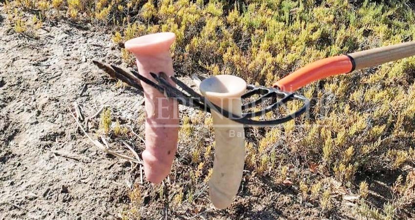 Encuentran juguetes sexuales en los manglares del Conchalito de La Paz