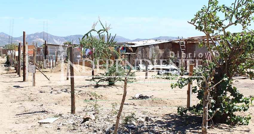 Anuncian disposición de 277 hectáreas para desarrollo de vivienda en SJC