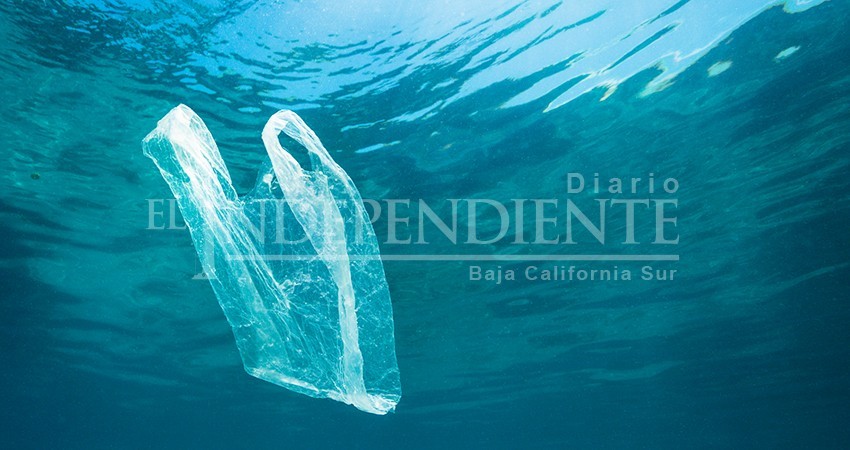 Terminado el reglamento “antiplástico” para La Paz, falta aprobarse: Regidora