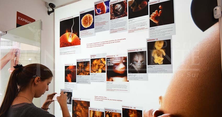 Le vamos a entrar a defender la vida “desde la concepción”: Perla Flores