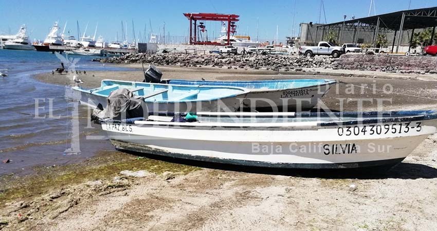 Presentarán iniciativa para crear pesca deportiva ribereña en BCS