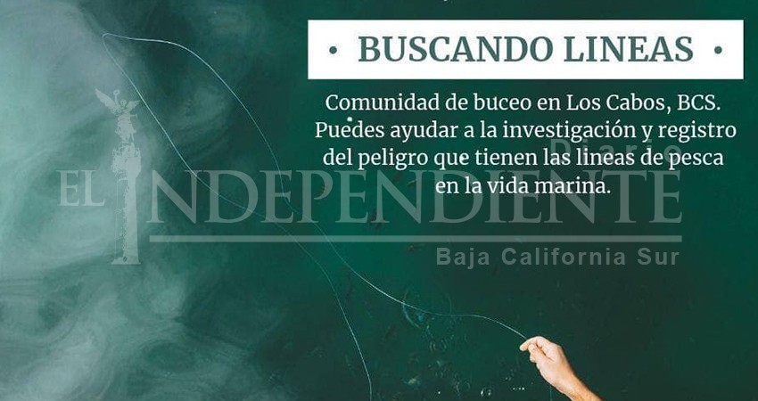Zero Waste pide apoyo a buzos para documentar daños por líneas de pesca