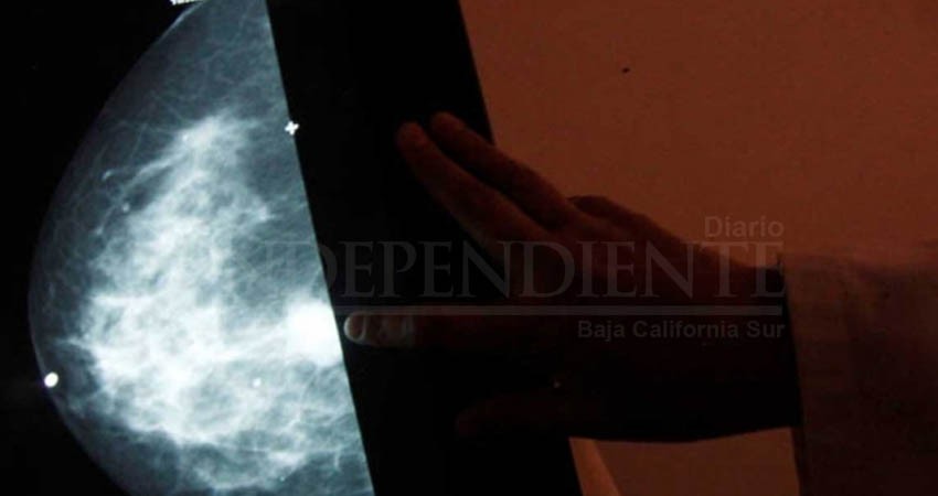 Científicos habrían encontrado el 'talón de Aquiles' del cáncer