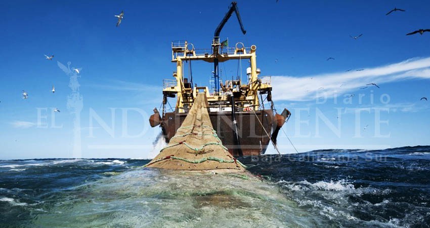 Ni con sanciones cesan reportes por guaterismo en La Paz