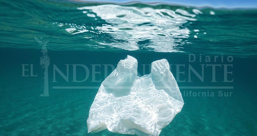 Posponen la desplastificación de La Paz