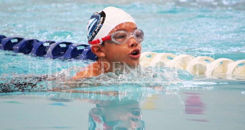 INVITA INSUDE A SUS CURSOS DE VERANO