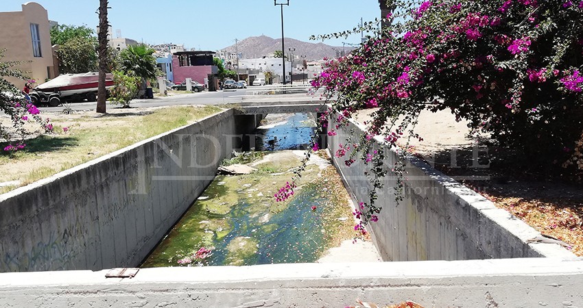 Verde y maloliente está el canal pluvial de Miramar en CSL