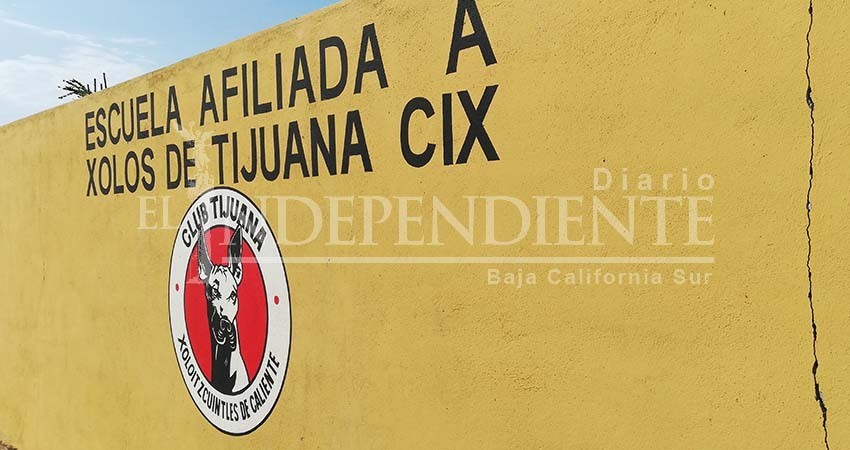 Xolos Tijuana abrirá escuela de futbol en Los Cabos