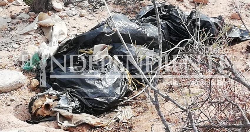 Localizan un ejecutado en brecha a Playa El Saltito de La Paz