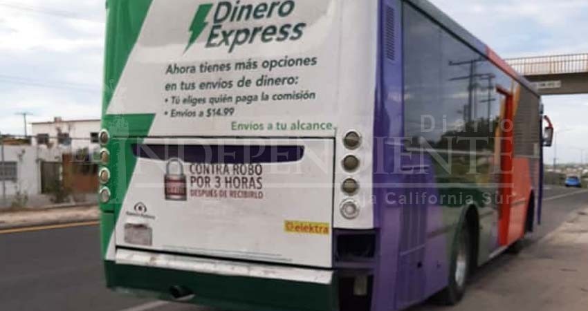 Lo bajaron a la fuerza del transporte público porque viajaba acompañado de su perro 