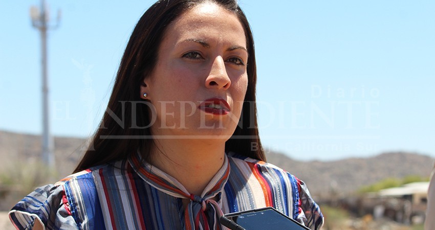 Diputados “legítimos” de Morena BCS informarán hoy en el Parque Revolución