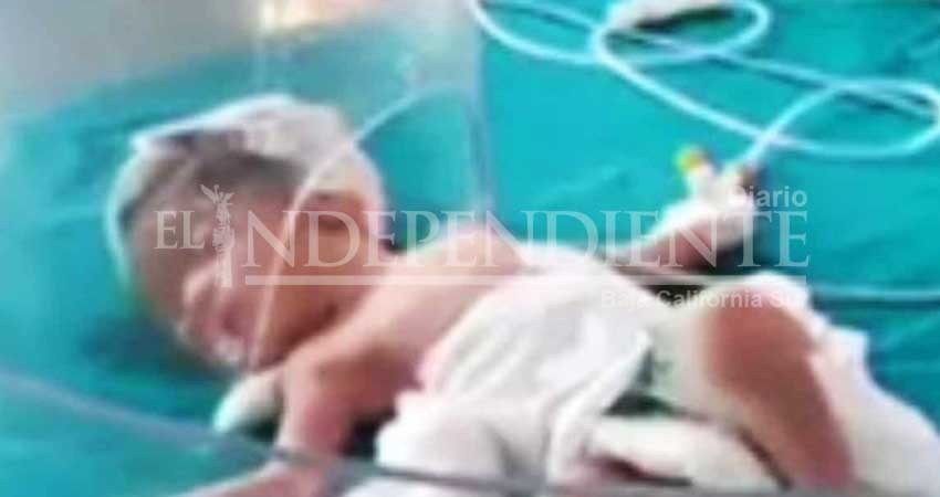 ¡Héroes! Perritos salvan a bebé abandonada en la calle