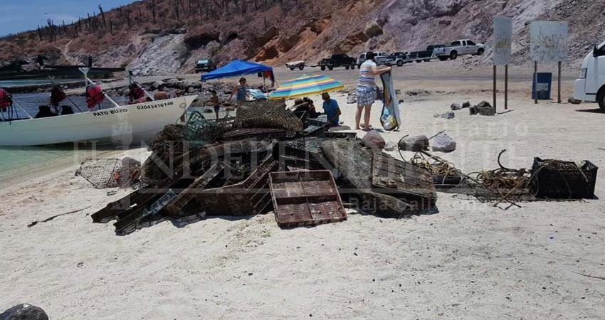 Limpieza en  mangles de La Paz recogió 1.5 toneladas de proyecto acuícola abandonado