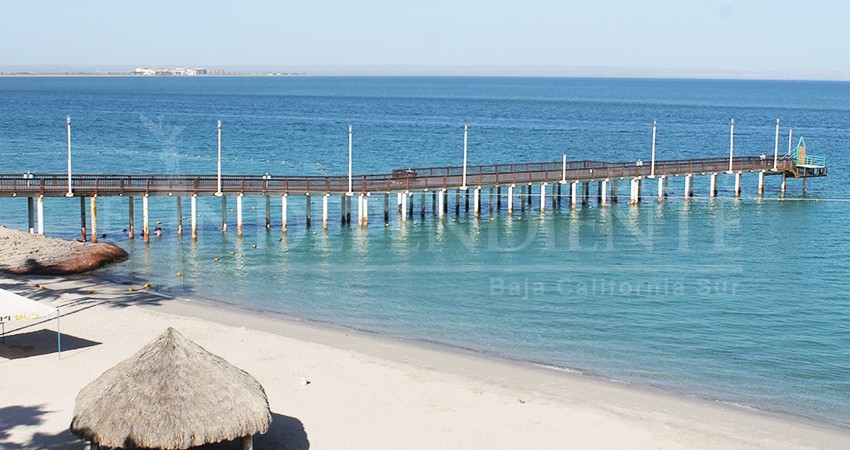 Falta de recurso frena certificaciones Blue Flag en playas de La Paz