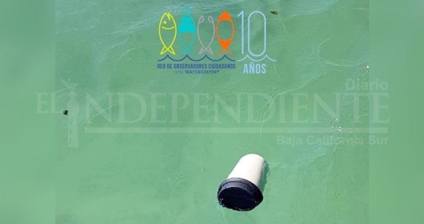 Playa Balandra con altos índices de contaminación