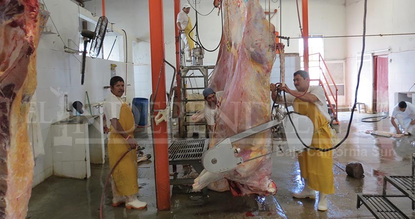 En el abandono rastros de La Paz y Los Cabos; Ayuntamientos y Estado omisos