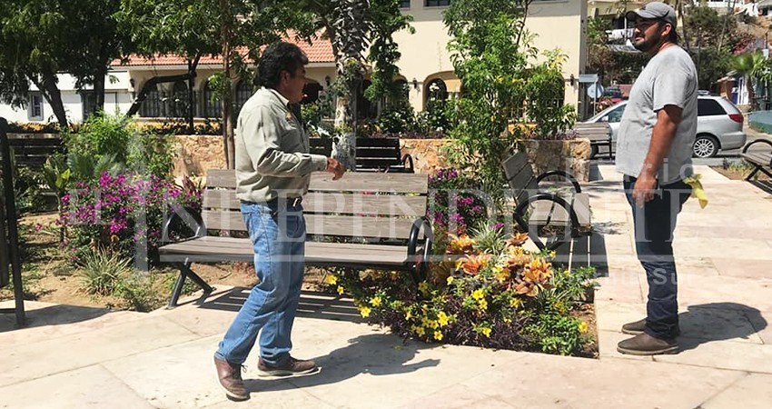 Apenas 6 meses de su entrega, en Plaza Amelia Wilkes  y ya salió a relucir la mala calidad de la obra