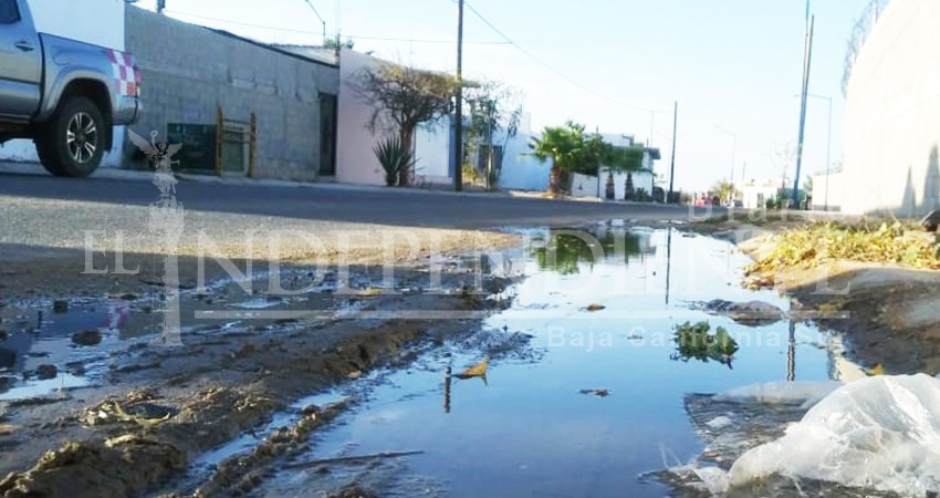 Mientras cientos de litros de agua se desperdician en fugas, vecinos siguen padecen escasez