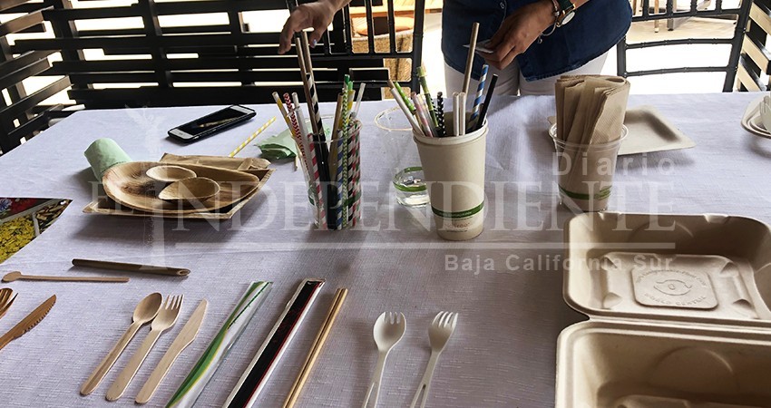 Prevén comerciantes golpe a su economía con la Ley Desplastifícate