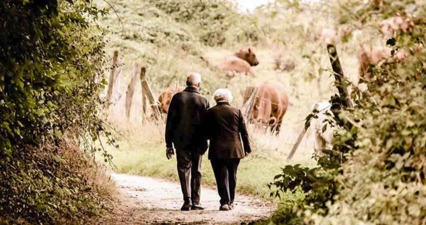 Cachan a seis abuelitos teniendo sexo en un bosque de EU