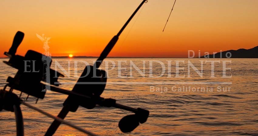 Turistas de pesca deportiva gastan en promedio 1,500 dólares al visitar La Paz