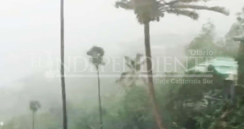 Imponente huracán 'Dorian' llegará a Florida con categoría 4