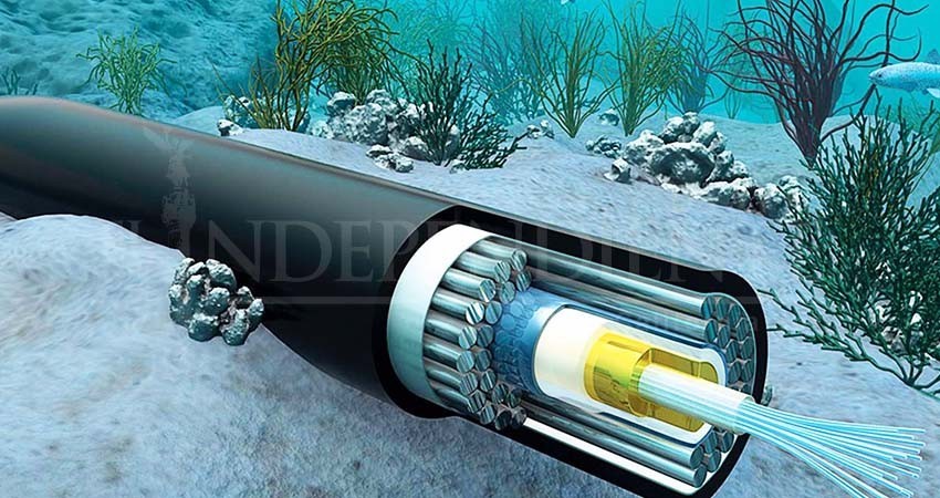 Que CFE instale cable submarino no evitará contaminación: Milena Quiroga