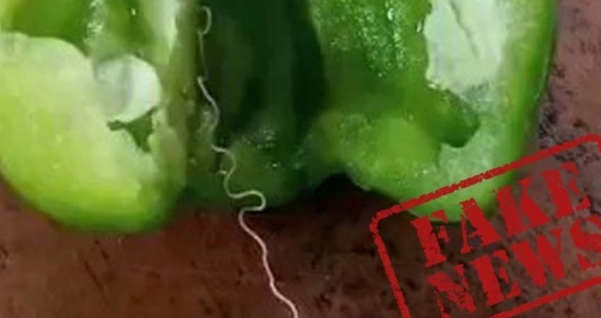 ¿Este video muestra una nueva especie de gusano peligroso?