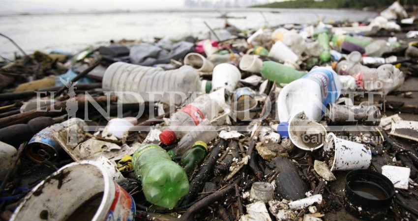 Ayto. de Los Cabos contra la pausa a la Ley de Desplastificación en BCS