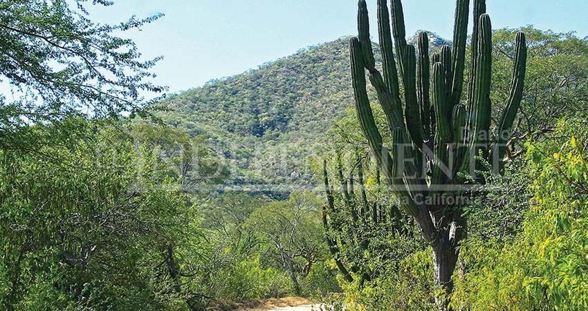 Se desmoronan "Los Cardones": Otro predio de la Sierra es cedido a Conanp