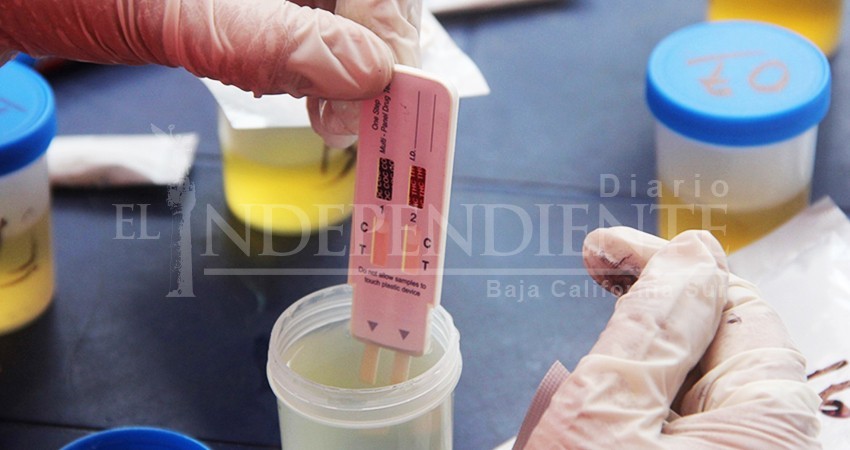 Obligatorio examen toxicológico para empleados primer nivel del Ayto de Los Cabos