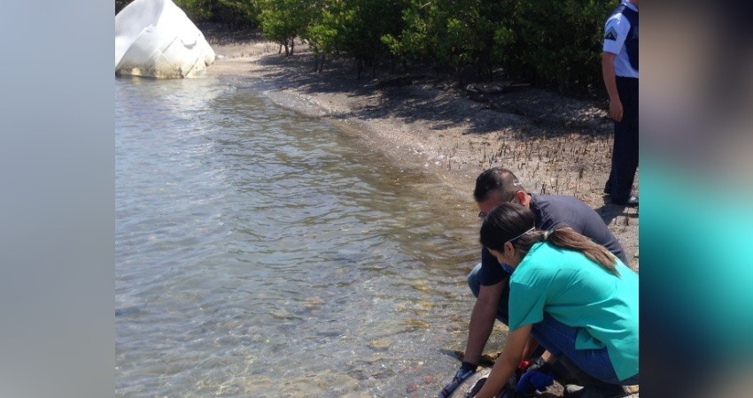 Coordina UABCS jornada de limpieza de playa para este fin de semana