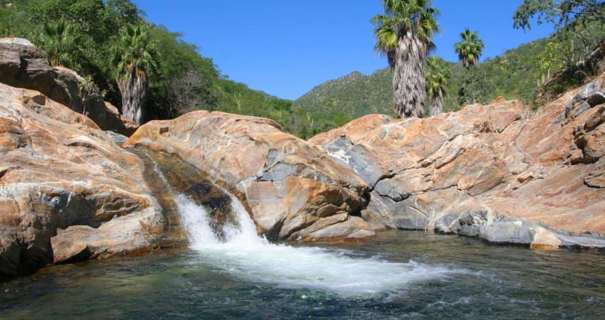 Comisión de Medio Ambiente buscará que el gobernador decrete zonas de salvaguarda para proteger a BCS de mineras