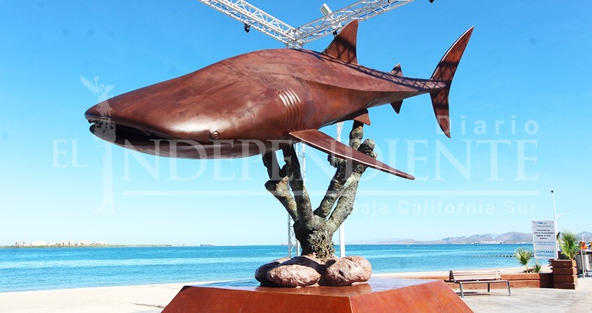 Trasladaron estatua de tiburón ballena de la dársena de Loreto a La Paz