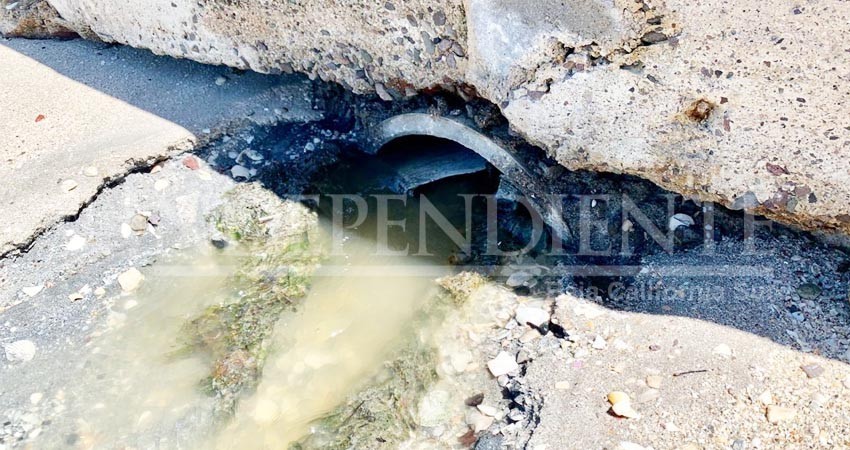 Descargan aguas negras al malecón de La Paz