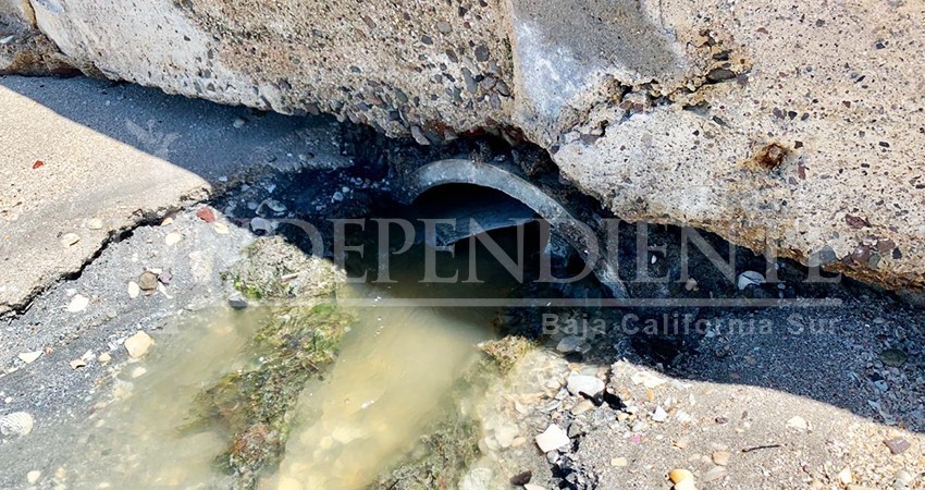 Descarta Coepris presencia de aguas negras en el malecón de La Paz